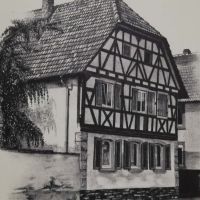 Galerie