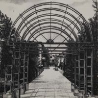 Galerie