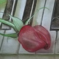 Galerie